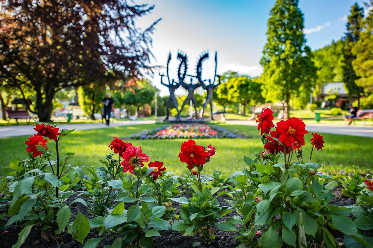 Apartamenty Sun & Snow Centrum Крыница-Здруй Экстерьер фото
